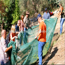 профессиональный оливковое - падение сбора защищать сетками